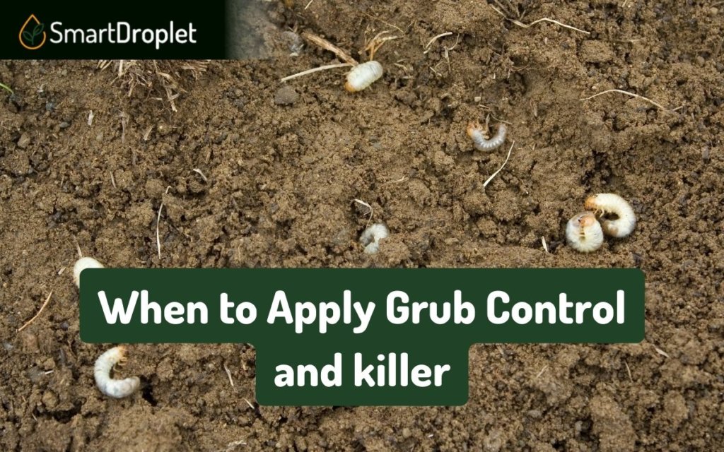 When to apply Grub Control and killer