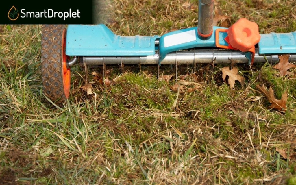 Lawn Aeration for Compacted Soil