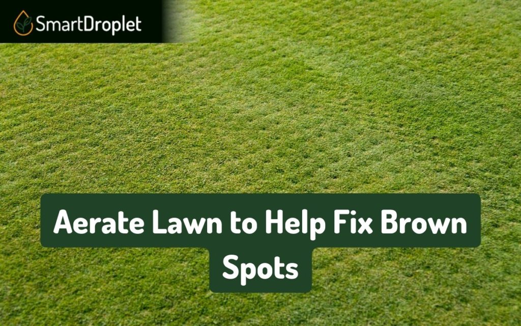Aerate Lawn to Help Fix Brown Spots