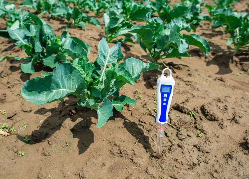Best Soil pH Test Kit For Your Backyard