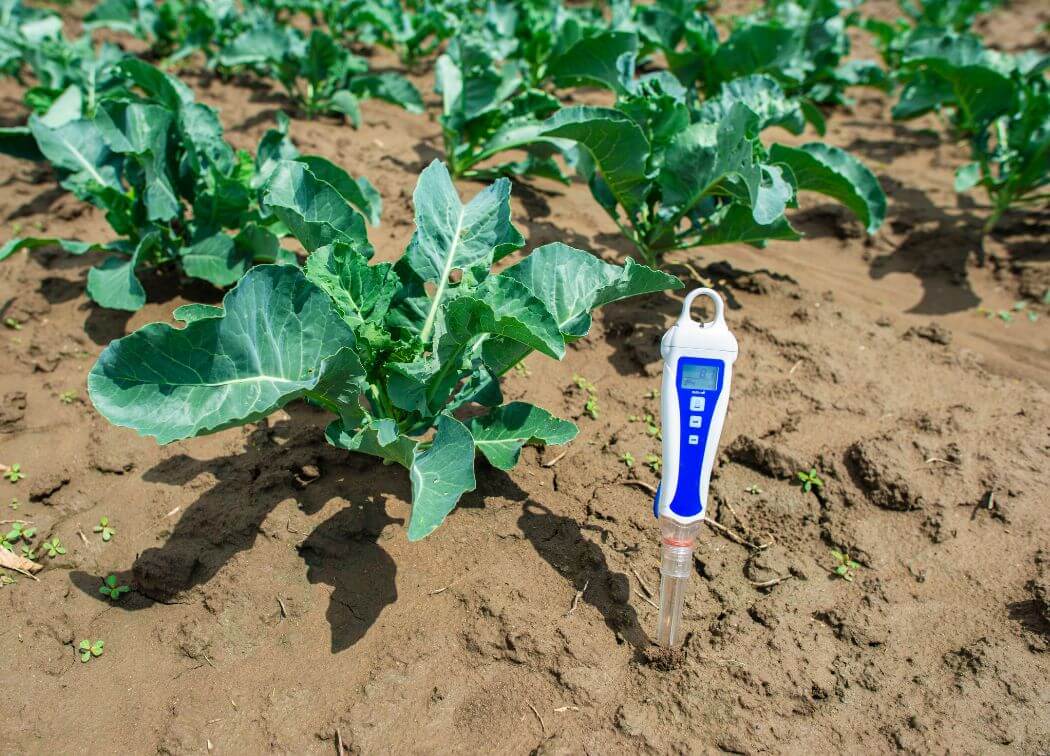 The 8 Best Soil pH Test Kit For Your Backyard