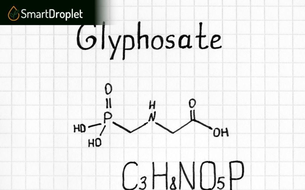 How Does Glyphosphate Kill Weeds