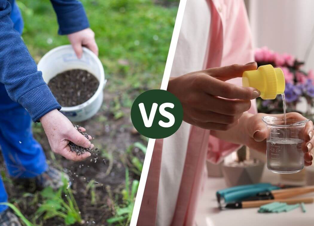 Liquid vs. Granular Fertilizer: What’s Better for Your Lawn?