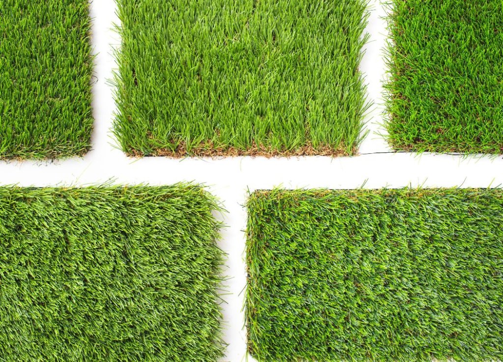 Types of Grass That Doesn't Need Mowing