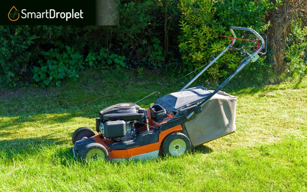 What to consider when Buying a Lawn Mower for your Bermuda Grass