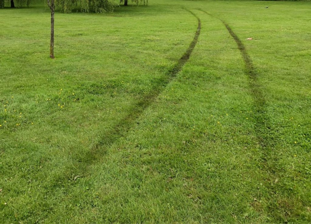 tire marks in lawn