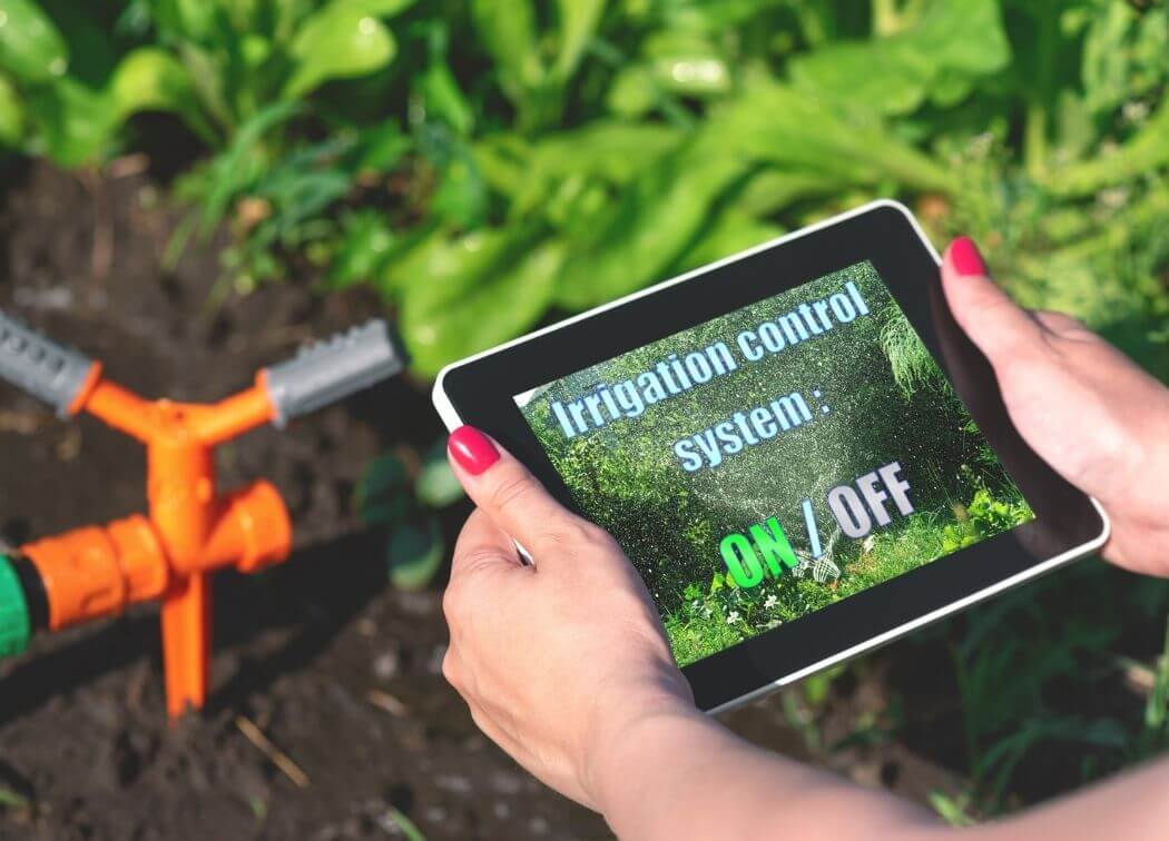 What Are Smart Watering Systems? [A Guide to Smart Irrigation]